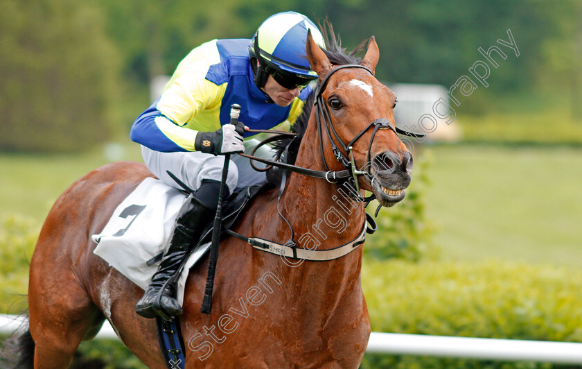 Lord-Justice-0006 
 LORD JUSTICE (Sean McDermott) wins The Green Pastures Hurdle at Perct Warner Park, Nashville 12 May 2018 - Pic Steven Cargill / Racingfotos.com