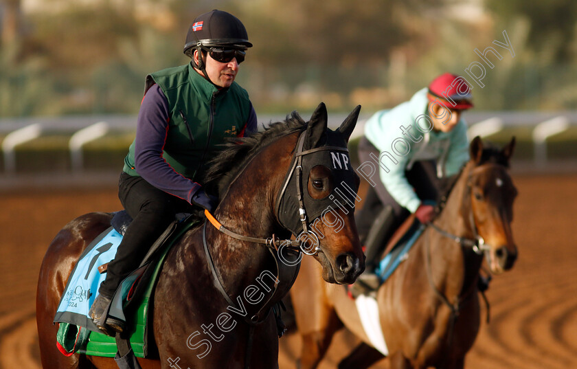 Slava-Ukraini-0001 
 SLAVA UKRAINI training for The International Handicap
King Abdulaziz Racecourse, Saudi Arabia 20 Feb 2024 - Pic Steven Cargill / Racingfotos.com