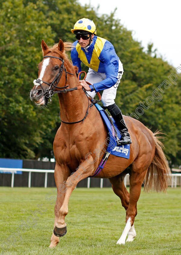 Dream-Of-Dreams-0001 
 DREAM OF DREAMS (Daniel Tudhope)
Newmarket 13 Jul 2019 - Pic Steven Cargill / Racingfotos.com