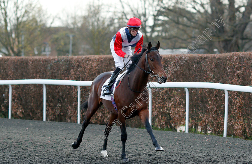 Just-Brilliant-0001 
 JUST BRILLIANT (James Doyle)
Kempton 3 Apr 2019 - Pic Steven Cargill / Racingfotos.com