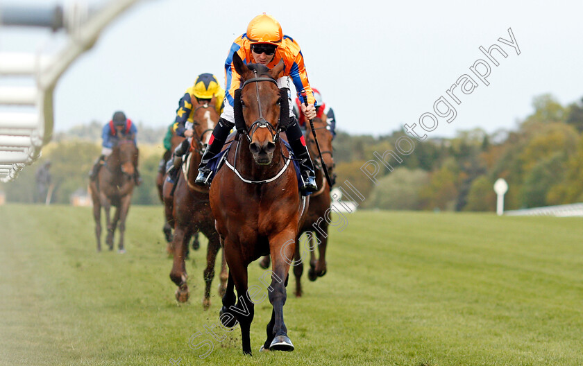 Torcedor-0005 
 TORCEDOR (Colm O'Donoghue) wins The Longines Sagaro Stakes Ascot 2 May 2018 - Pic Steven Cargill / Racingfotos.com