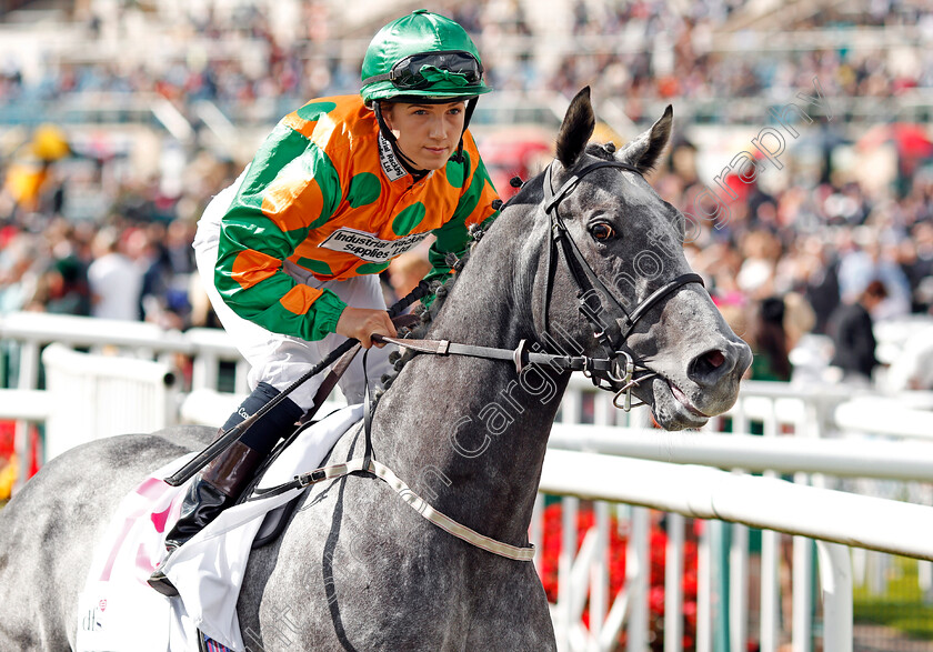 Buccaneers-Vault-0001 
 BUCCANEERS VAULT (Georgia Cox) winner of The DFS Silk Series Lady Riders Handicap Doncaster 14 Sep 2017 - Pic Steven Cargill / Racingfotos.com