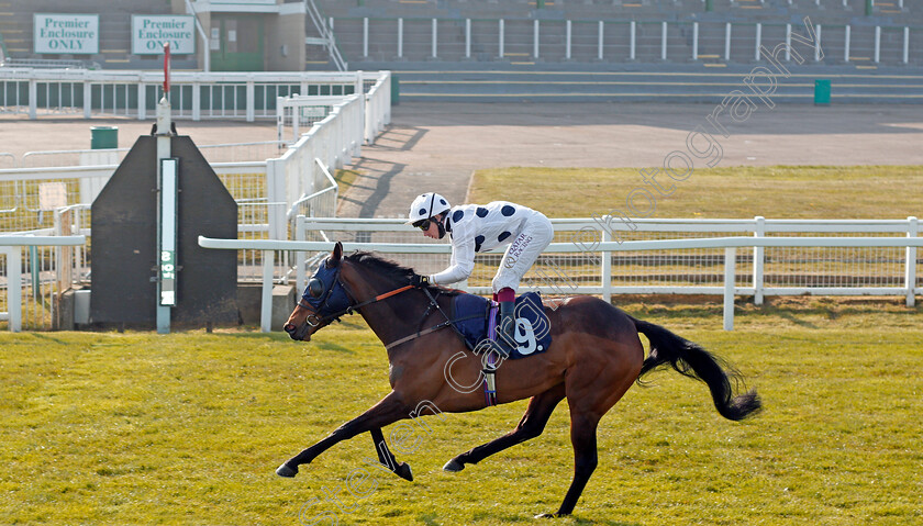 Lochanthem-0003 
 LOCHANTHEM (Oisin Murphy) wins The Download The Quinnbet App Classified Stakes Div2
Yarmouth 20 Apr 2021 - Pic Steven Cargill / Racingfotos.com