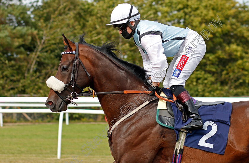 The-Perfect-Crown-0002 
 THE PERFECT CROWN (Hollie Doyle) before The Betway Novice Stakes
Lingfield 4 Aug 2020 - Pic Steven Cargill / Racingfotos.com