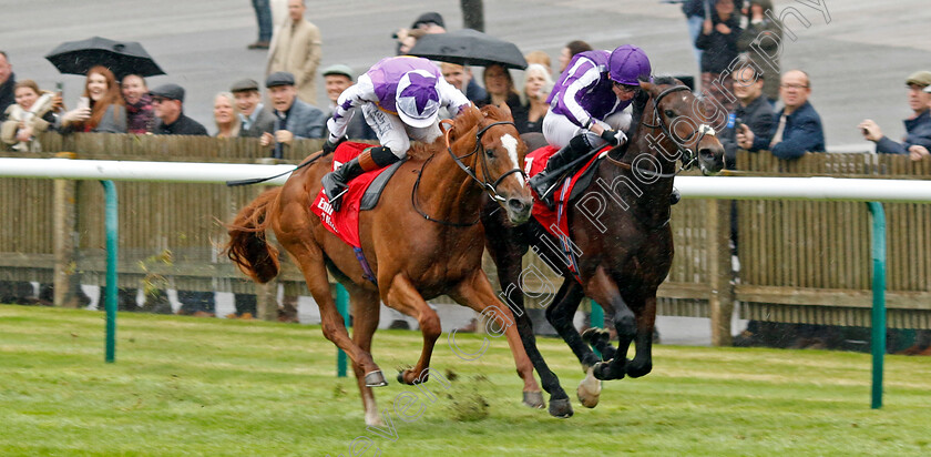 Delacroix-0004 
 DELACROIX (right, Ryan Moore) beats STANHOPE GARDENS (left) in the Emirates Autumn Stakes
Newmarket 12 Oct 2024 - Pic Steven Cargill / Racingfotos.com