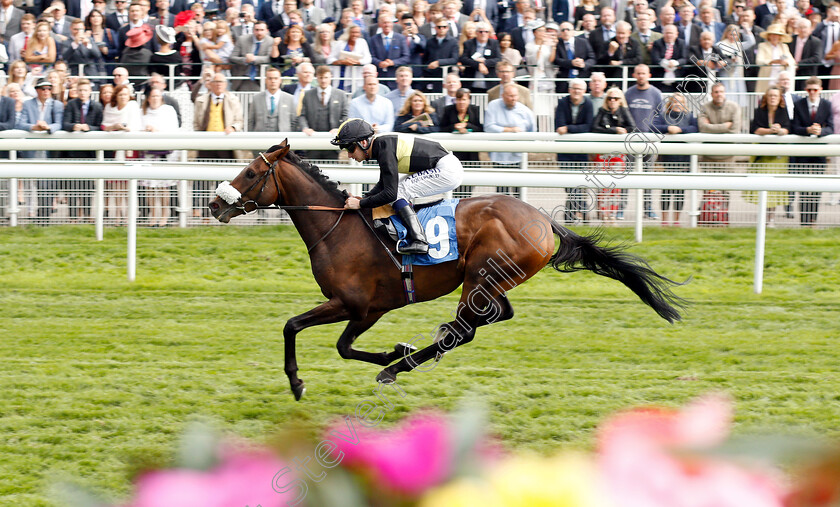 Urban-Aspect-0004 
 URBAN ASPECT (Oisin Murphy) wins The Nationwide Accident Repair Services Handicap
York 24 Aug 2018 - Pic Steven Cargill / Racingfotos.com