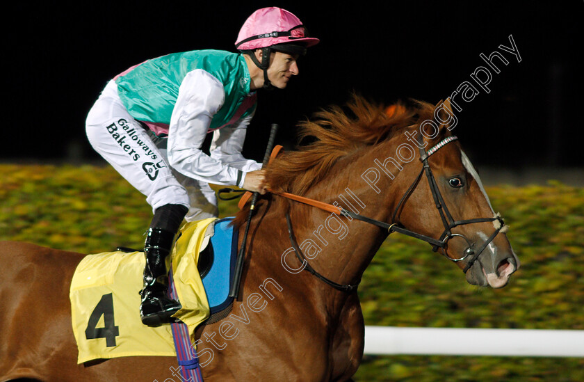 Desert-Path-0001 
 DESERT PATH (Richard Kingscote) Kempton 4 Oct 2017 - Pic Steven Cargill / Racingfotos.com