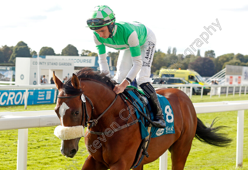 Mr-Lightside-0001 
 MR LIGHTSIDE (Rossa Ryan)
York 24 Aug 2024 - Pic Steven Cargill / Racingfotos.com