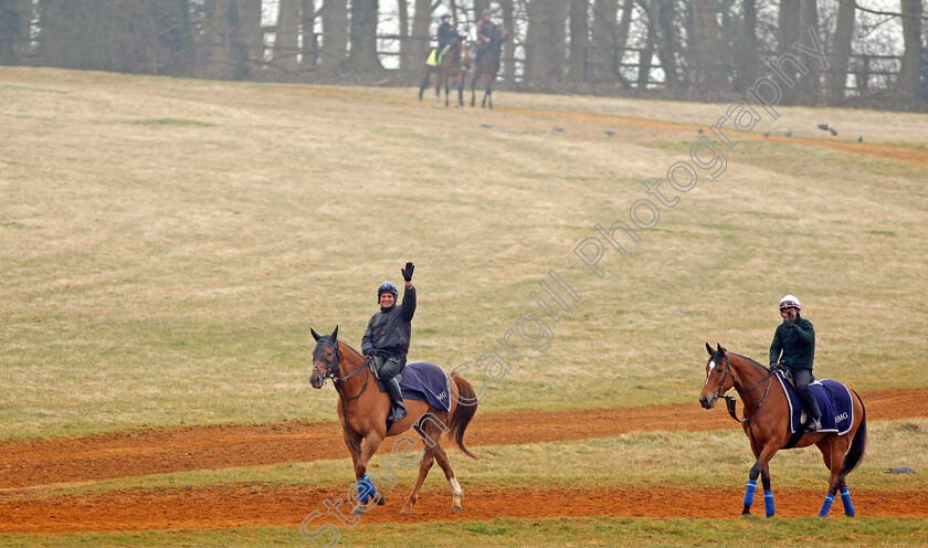 Enable-0005 
 ENABLE (right) with lead horse LAUGH ALOUD after cantering on Warren Hill Newmarket 24 Mar 2018 - Pic Steven Cargill / Racingfotos.com