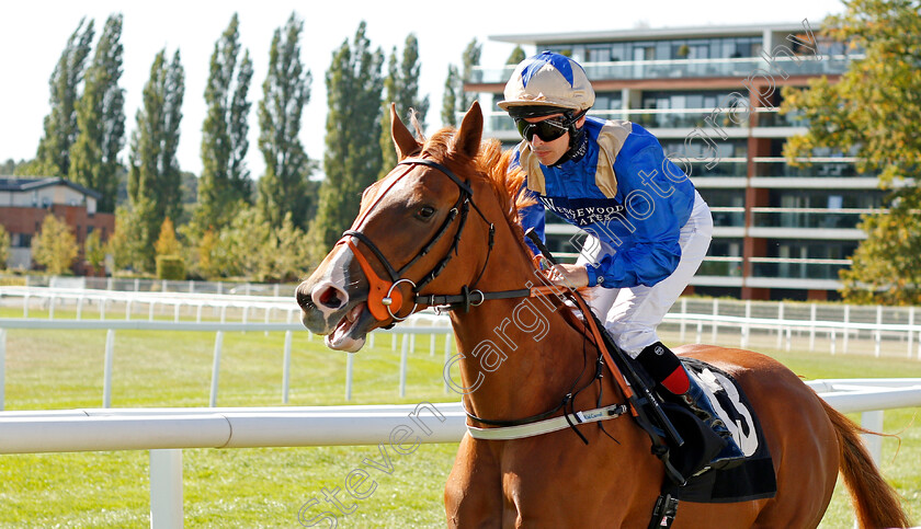 Lady-Sarah-0001 
 LADY SARAH (Brett Doyle) 
Newbury 20 Sep 2019 - Pic Steven Cargill / Racingfotos.com