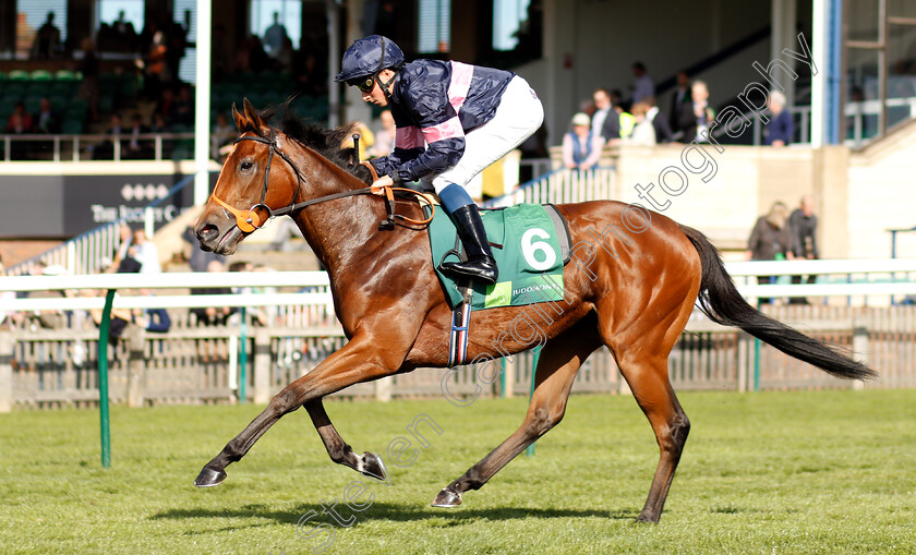 No-Way-Jose-0001 
 NO WAY JOSE (William Buick)
Newmarket 29 Sep 2018 - Pic Steven Cargill / Racingfotos.com