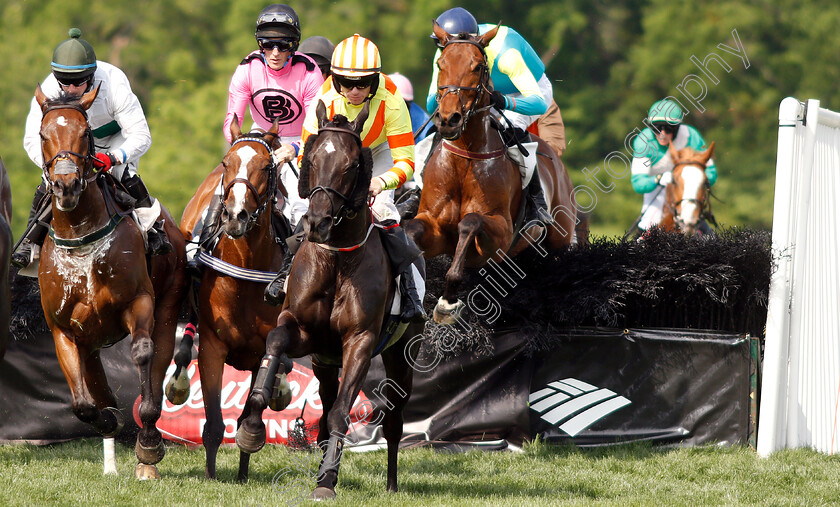 Alshibaa-0001 
 ALSHIBAA (centre, Sean McDermott) with FORWARD THINKER (left) and BELISARIUS (pink)
Percy Warner Park, Nashville USA, 12 May 2018 - Pic Steven Cargill / Racingfotos.com