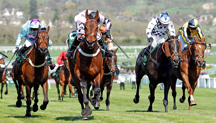 Champagne-Express-0004 
 CHAMPAGNE EXPRESS (centre, James Bowen) wins The Kingston Stud Supporting Greatwood Handicap Hurdle Cheltenham 18 Apr 2018 - Pic Steven Cargill / Racingfotos.com