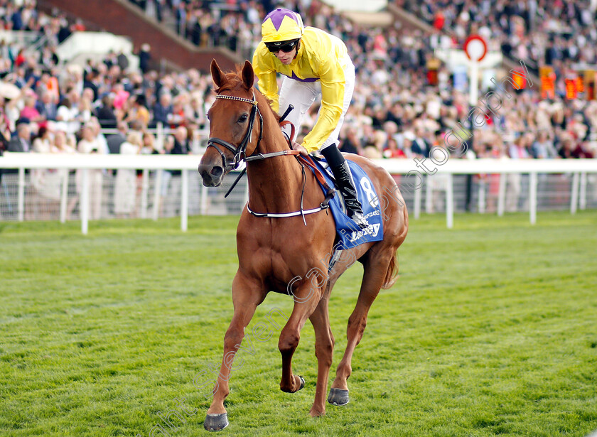 Sea-Of-Class-0002 
 SEA OF CLASS (James Doyle) before winning The Darley Yorkshire Oaks
York 23 Aug 2018 - Pic Steven Cargill / Racingfotos.com