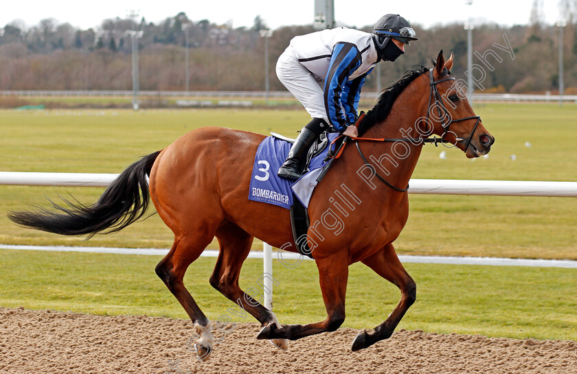 Ghaith-0002 
 GHAITH (Richard Kingscote)
Wolverhampton 13 Mar 2021 - Pic Steven Cargill / Racingfotos.com