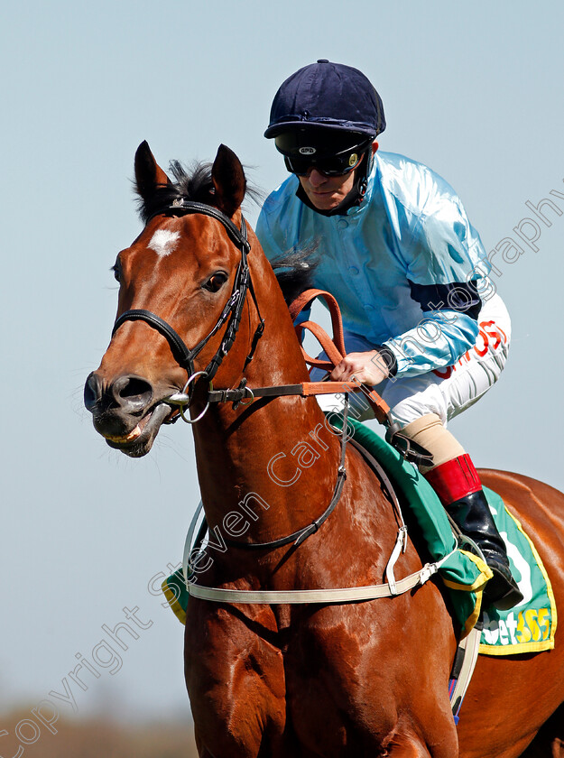 Thunderous-0003 
 THUNDEROUS (Franny Norton)
Sandown 23 Apr 2021 - Pic Steven Cargill / Racingfotos.com