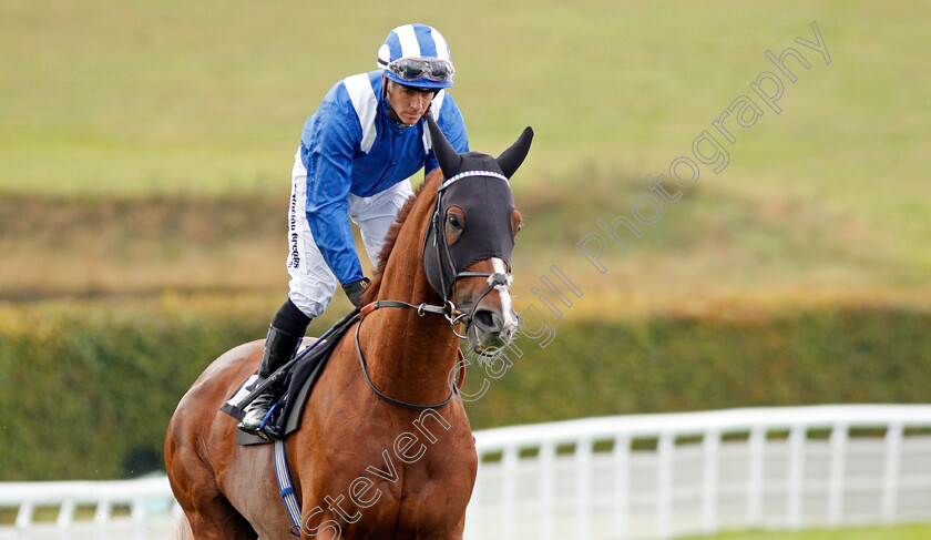 Elwazir-0001 
 ELWAZIR (Jim Crowley)
Goodwood 25 Sep 2019 - Pic Steven Cargill / Racingfotos.com