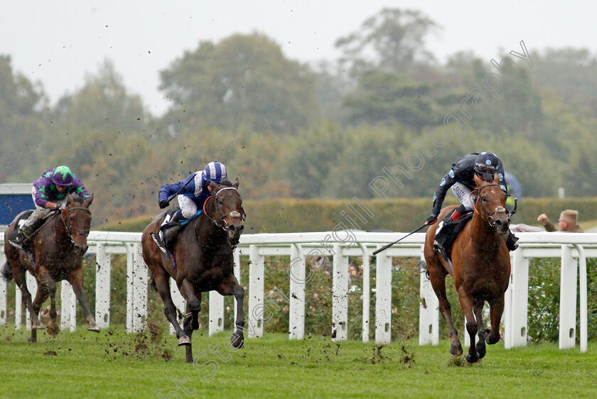 Tis-Marvellous-0004 
 TIS MARVELLOUS (Adam Kirby) beats MINZAAL (centre) in The Oakman Group Rous Stakes
Ascot 2 Oct 2021 - Pic Steven Cargill / Racingfotos.com