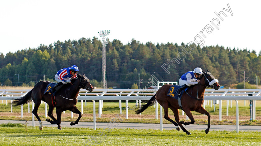 Crystal-Love-0003 
 CRYSTAL LOVE (Sandro De Paiva) wins The Appel Au Maitre Svealandlopning
Bro Park, Sweden , 15 Sep 2024 - Pic Steven Cargill / Racingfotos.com