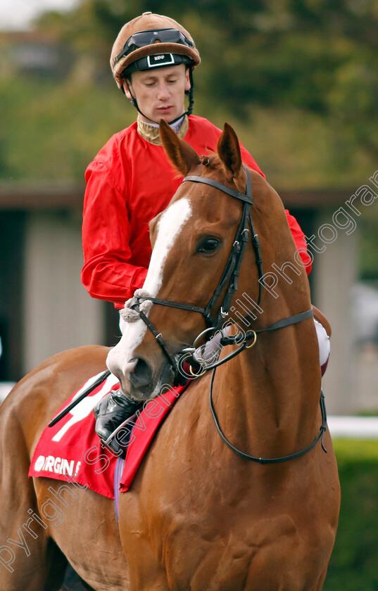 Old-Harrovian-0002 
 OLD HARROVIAN (Oisin Murphy)
Kempton 6 Apr 2024 - Pic Steven Cargill / Racingfotos.com