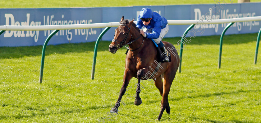 Ancient-Wisdom-0001 
 ANCIENT WISDOM (William Buick) wins The Emirates Autumn Stakes
Newmarket 14 Oct 2023 - Pic Steven Cargill / Racingfotos.com