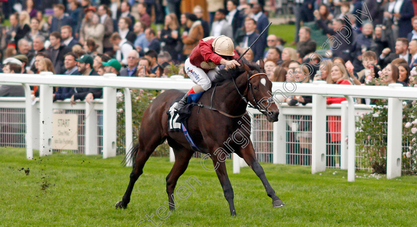 Muchly-0001 
 MUCHLY (Andrea Atzeni)
Ascot 5 Oct 2019 - Pic Steven Cargill / Racingfotos.com