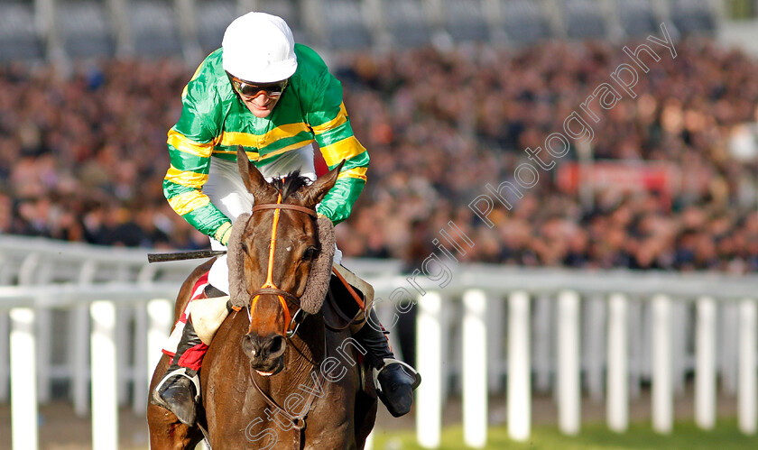 Easysland-0009 
 EASYSLAND (Jonathan Plouganou) wins The Glenfarclas Cross Country Chase
Cheltenham 11 Mar 2020 - Pic Steven Cargill / Racingfotos.com