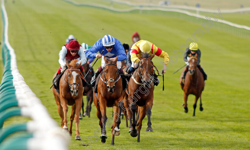 Vera-Verto-0004 
 VERA VERTO (Rob Hornby) wins The British EBF 40th Anniversary Premier Fillies Handicap
Newmarket 7 Oct 2023 - Pic Steven Cargill / Racingfotos.com