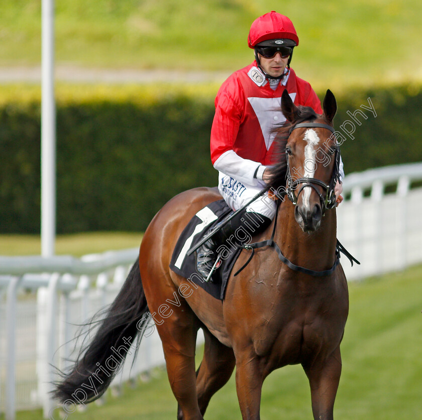 Rogue-Storm-0001 
 ROGUE STORM (Jack Mitchell)
Goodwood 28 Aug 2021 - Pic Steven Cargill / Racingfotos.com