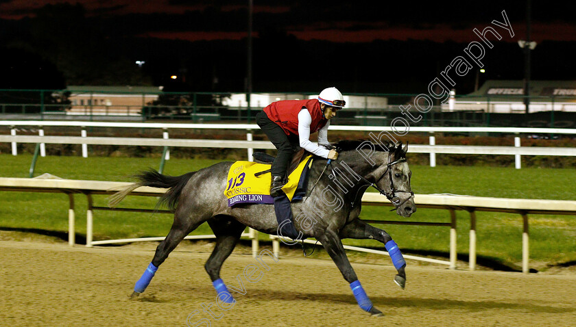 Roaring-Lion-0006 
 ROARING LION exercising ahead of The Breeders' Cup Classic
Churchill Downs USA 31 Oct 2018 - Pic Steven Cargill / Racingfotos.com