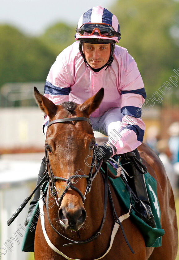 Snash 
 SNASH (Duran Fentiman)
York 12 May 2022 - Pic Steven Cargill / Racingfotos.com