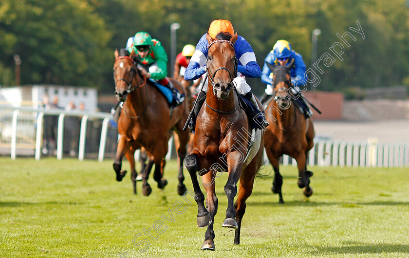 Rigoletto-0003 
 RIGOLETTO (Jamie Spencer) wins The Reecer Poertable Buildings Handicap Chepstow 6 Sep 2017 - Pic Steven Cargill / Racingfotos.com