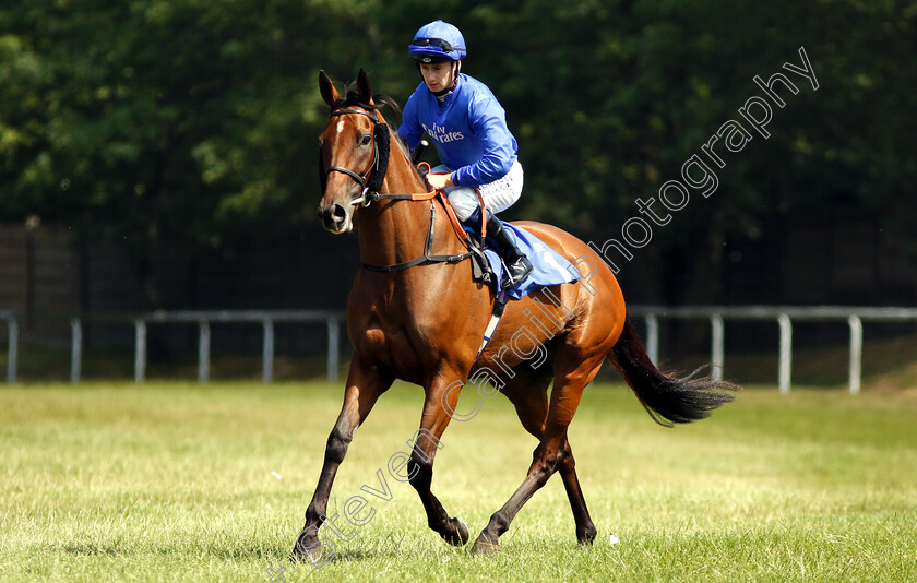 Promising-Run-0002 
 PROMISING RUN (Oisin Murphy)
Pontefract 10 Jul 2018 - Pic Steven Cargill / Racingfotos.com