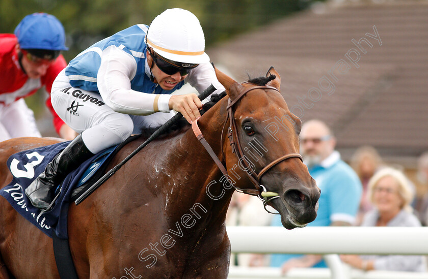 Plumatic-0009 
 PLUMATIC (Maxime Guyon) wins The Tattersalls Sovereign Stakes
Salisbury 16 Aug 2018 - Pic Steven Cargill / Racingfotos.com