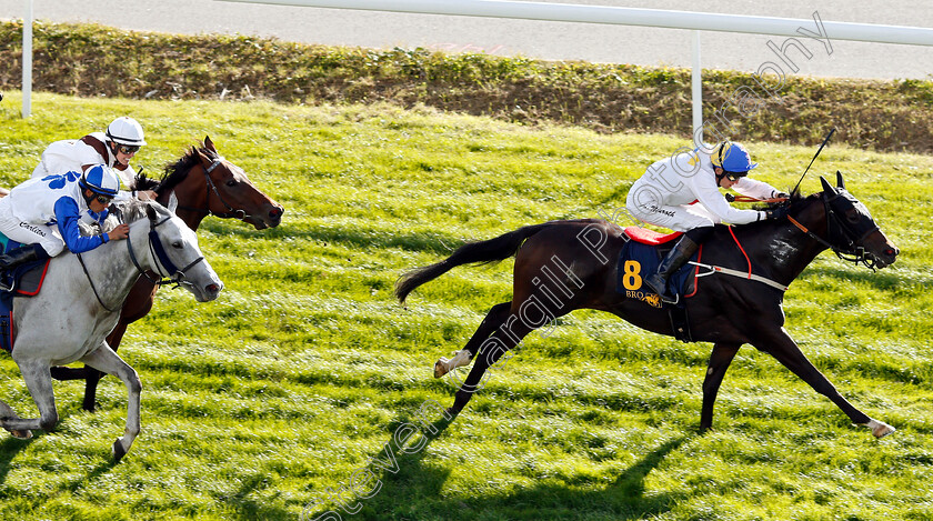 Buddy-Bob-0002 
 BUDDY BOB (Jan-Erik Neuroth) wins The Upplands-Bro Kommuns Stora Pris
Bro Park, Sweden 23 Sep 2018 - Pic Steven Cargill / Racingfotos.com