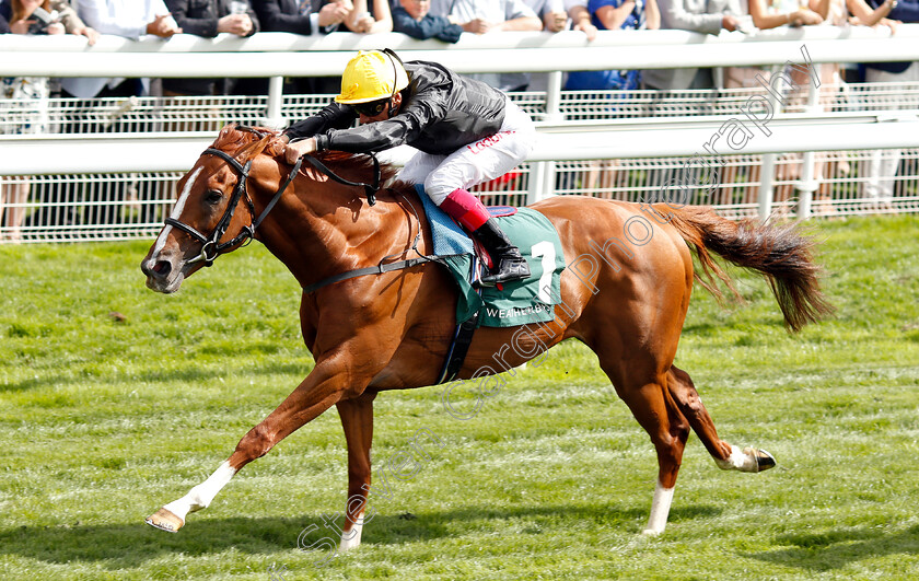 Stradivarius-0010 
 STRADIVARIUS (Frankie Dettori) wins The Weatherbys Hamilton Lonsdale Cup
York 24 Aug 2018 - Pic Steven Cargill / Racingfotos.com