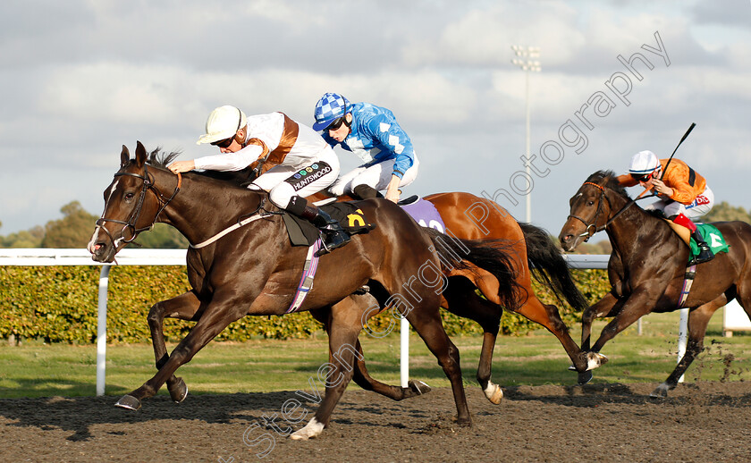 Dream-Catching-0003 
 DREAM CATCHING (Jason Watson) wins The 32Red On The App Store Handicap
Kempton 18 Sep 2018 - Pic Steven Cargill / Racingfotos.com