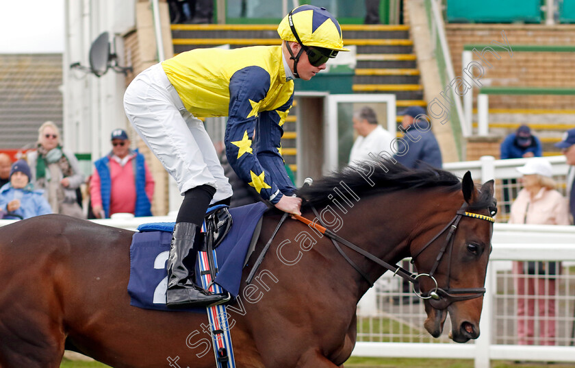 Think-Of-A-Name-0001 
 THINK OF A NAME (Brandon Wilkie)
Yarmouth 22 Oct 2024 - Pic Steven Cargill / Racingfotos.com