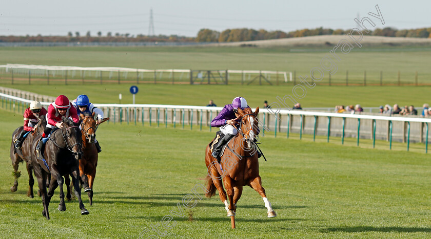 Mammas-Girl-0005 
 MAMMAS GIRL (Sean Levey) beats RIBLA (left) in The Discover Newmarket Fillies Restricted Novice Stakes Div2
Newmarket 19 Oct 2022 - Pic Steven Cargill / Racingfotos.com