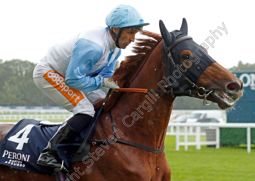 Giavellotto-0002 
 GIAVELLOTTO (Neil Callan)
Ascot 30 Sep 2022 - Pic Steven Cargill / Racingfotos.com