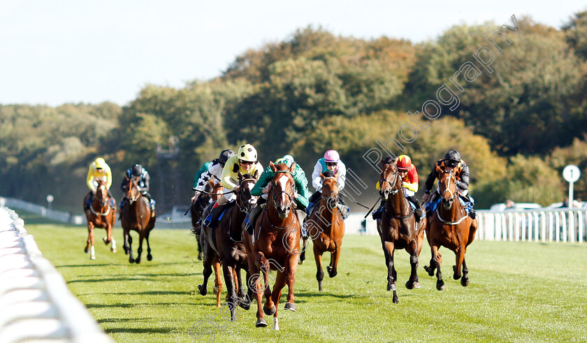 Senza-Limiti-0001 
 SENZA LIMITI (James Doyle) wins The Radcliffe & Co EBF Novice Stakes Div1
Salisbury 3 Oct 2018 - Pic Steven Cargill / Racingfotos.com