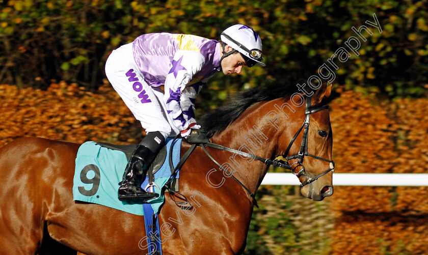 Sardinian-Warrior-0001 
 SARDINIAN WARRIOR (Kieran Shoemark)
Kempton 6 Dec 2023 - Pic Steven Cargill / Racingfotos.com