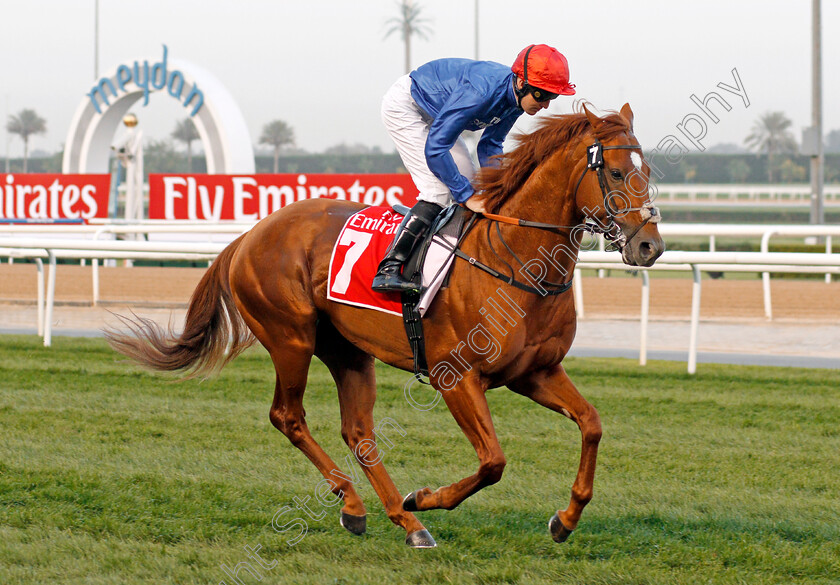 Leshlaa-0001 
 LESHLAA (Pat Cosgrave) Meydan 10 Mar 2018 - Pic Steven Cargill / Racingfotos.com