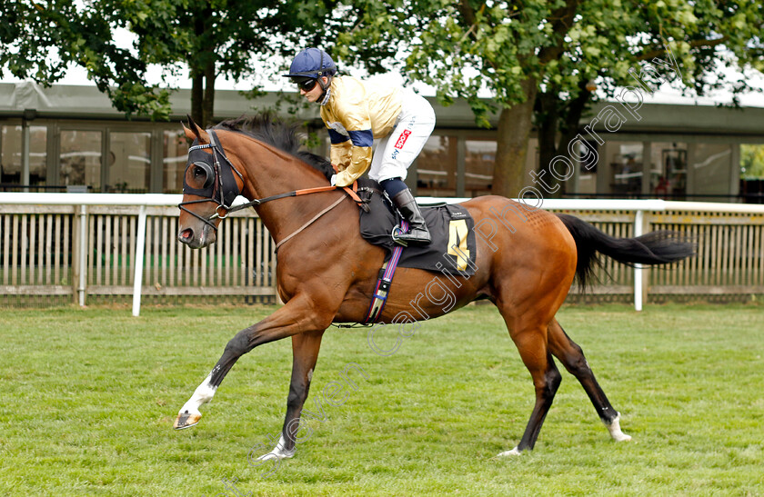 Outbox-0002 
 OUTBOX (Hollie Doyle)
Newmarket 1 Jul 2023 - Pic Steven Cargill / Racingfotos.com