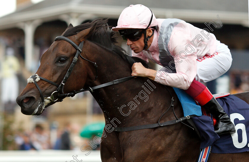 Too-Darn-Hot-0008 
 TOO DARN HOT (Frankie Dettori) wins The Howcroft Industrial Supplies Champagne Stakes
Doncaster 15 Sep 2018 - Pic Steven Cargill / Racingfotos.com