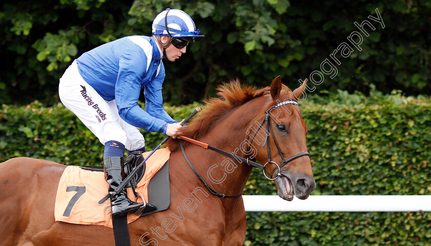 Mutamaasik-0001 
 MUTAMAASIK (Jim Crowley)
Kempton 5 Jun 2019 - Pic Steven Cargill / Racingfotos.com