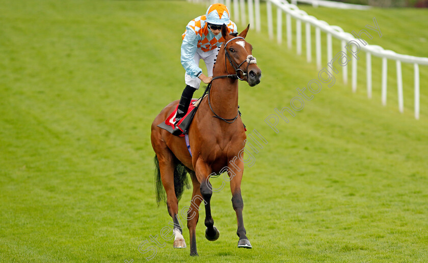 Juantorena-0001 
 JUANTORENA (Harry Davies)
Sandown 27 Jul 2023 - Pic Steven Cargill / Racingfotos.com