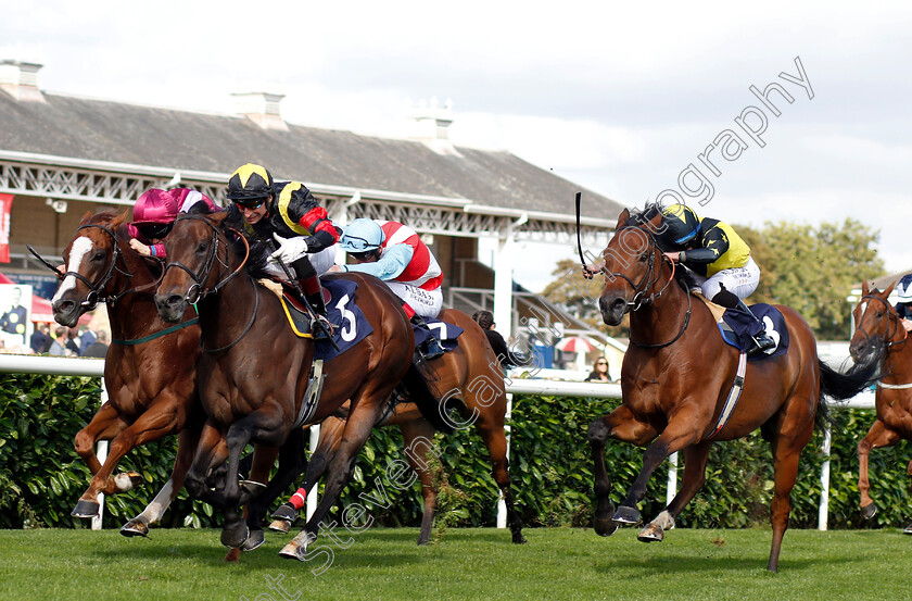 Global-Applause-0003 
 GLOBAL APPLAUSE (Gerald Mosse) beats EL ASTRONAUTE (left) and ENCORE D'OR (right) in The D C Training And Development Services Scarbrough Stakes
Doncaster 12 Sep 2018 - Pic Steven Cargill / Racingfotos.com