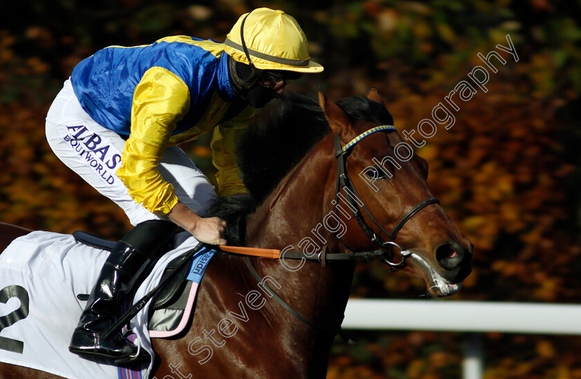 Alabama-Boy-0001 
 ALABAMA BOY (Tom Marquand)
Kempton 11 Nov 2020 - Pic Steven Cargill / Racingfotos.com