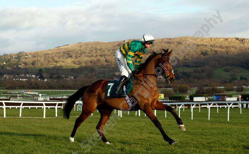 In-Excelsis-Deo-0001 
 IN EXCELSIS DEO (Bryan Carver)
Cheltenham 14 Dec 2024 - Pic Steven Cargill / Racingfotos.com